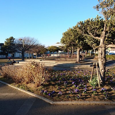 🏞️ 나데시코 공원(나데시코 코엔) 이미지 2